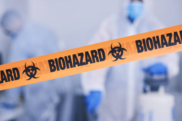 Professional Hoarding Cleanup technician working in Rosburg, WA
